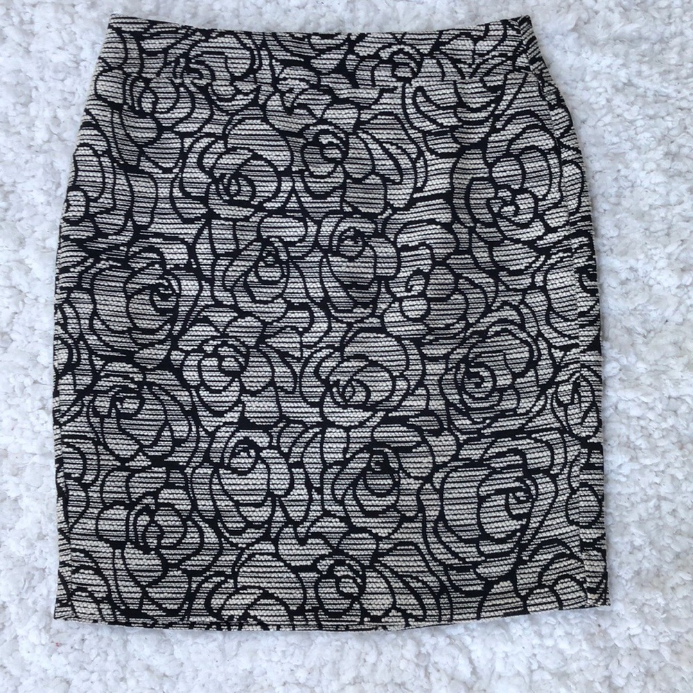 ANN TAYLOR SKIRT BRAND NEW WITHOUT TAGS